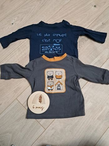 Lot 2 tee-shirts 6 mois