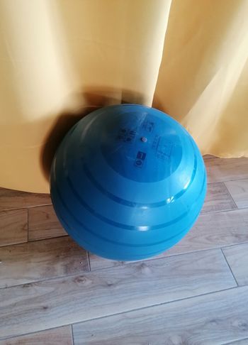 Ballon de grossesse /gym T. 1