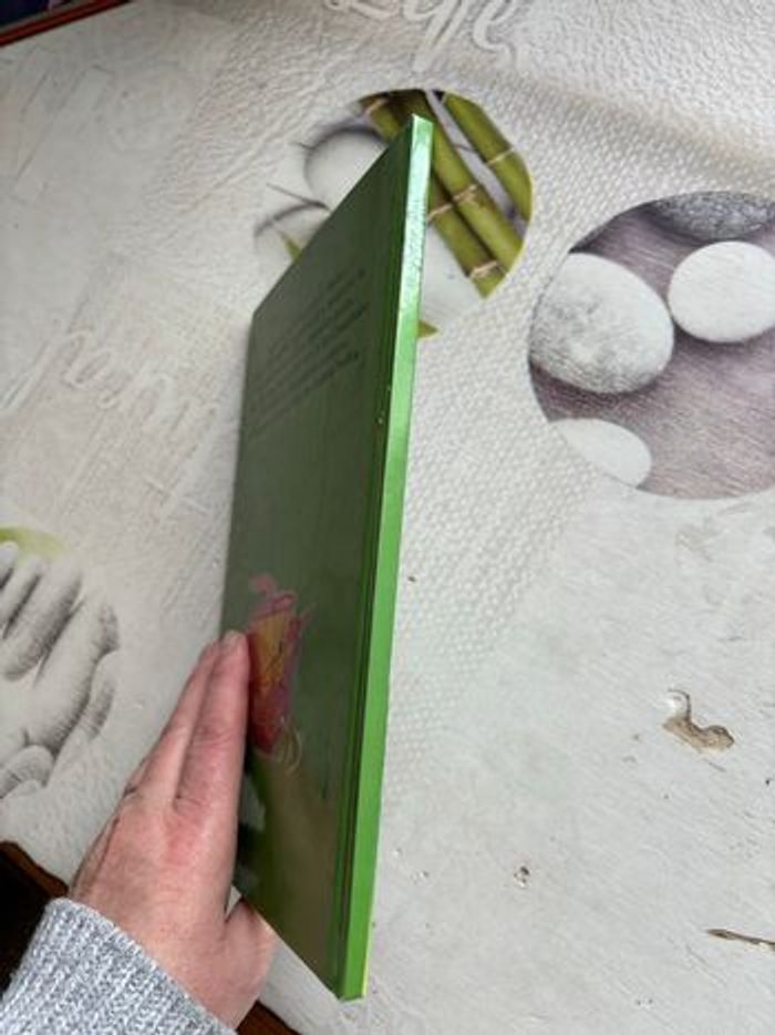 Livre Disney - photo numéro 6