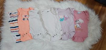 Lot 7 bodies