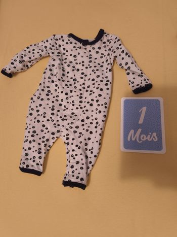 Grenouillère dalmatien