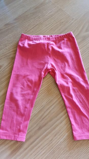 legging grain de blé 2 ans