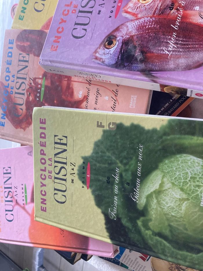 Lot de 5 encyclopédies de la cuisine - photo numéro 4