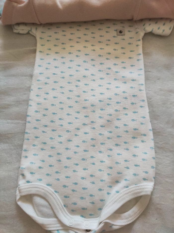 Lot de 3 body manches courtes petit bateau bio 6 mois - photo numéro 4