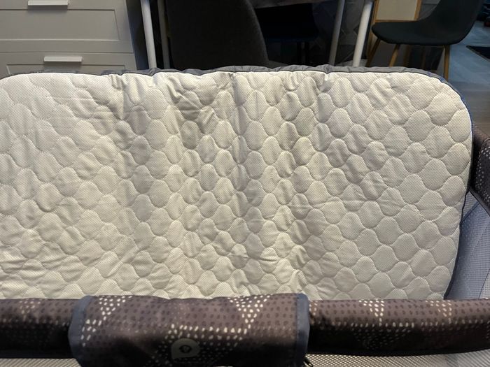 Cododo premaman - photo numéro 8