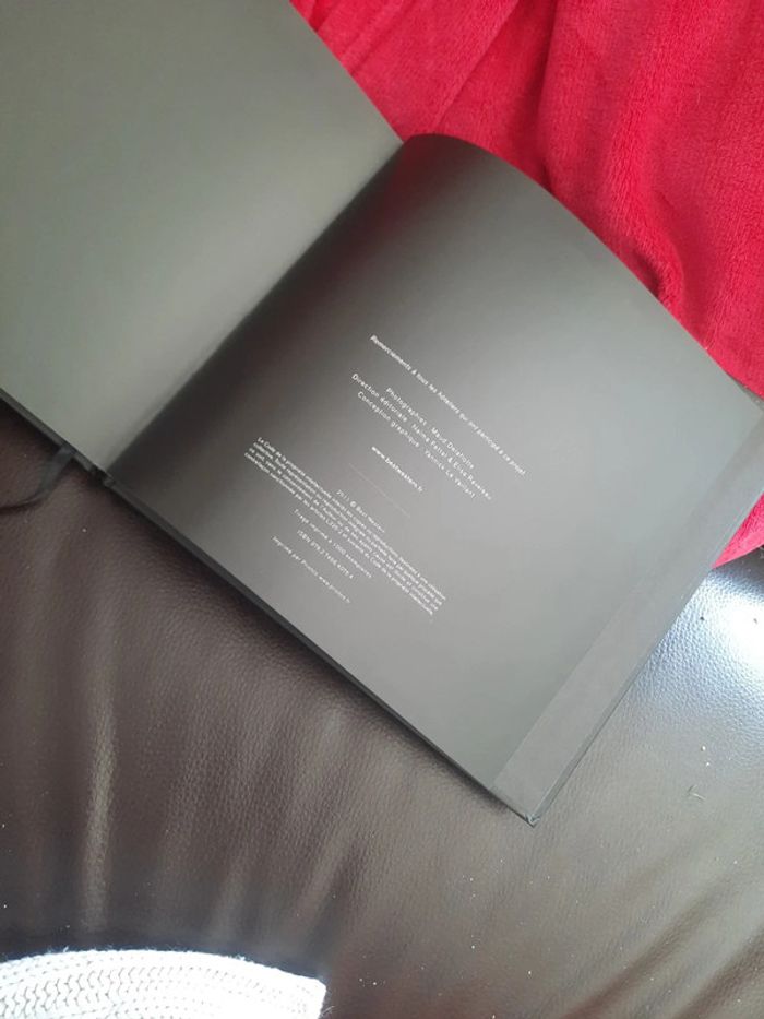 Livre hôtel au singulier p o - photo numéro 12