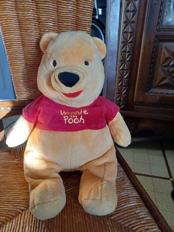 Peluche winnie