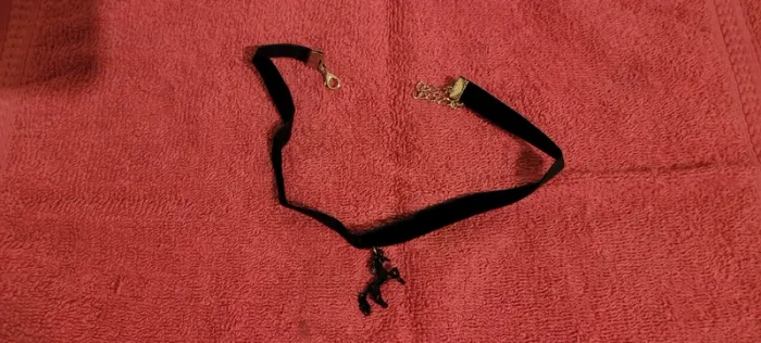 Collier ras de cou - photo numéro 2