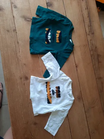 Lot de 2 tee-shirts TAO