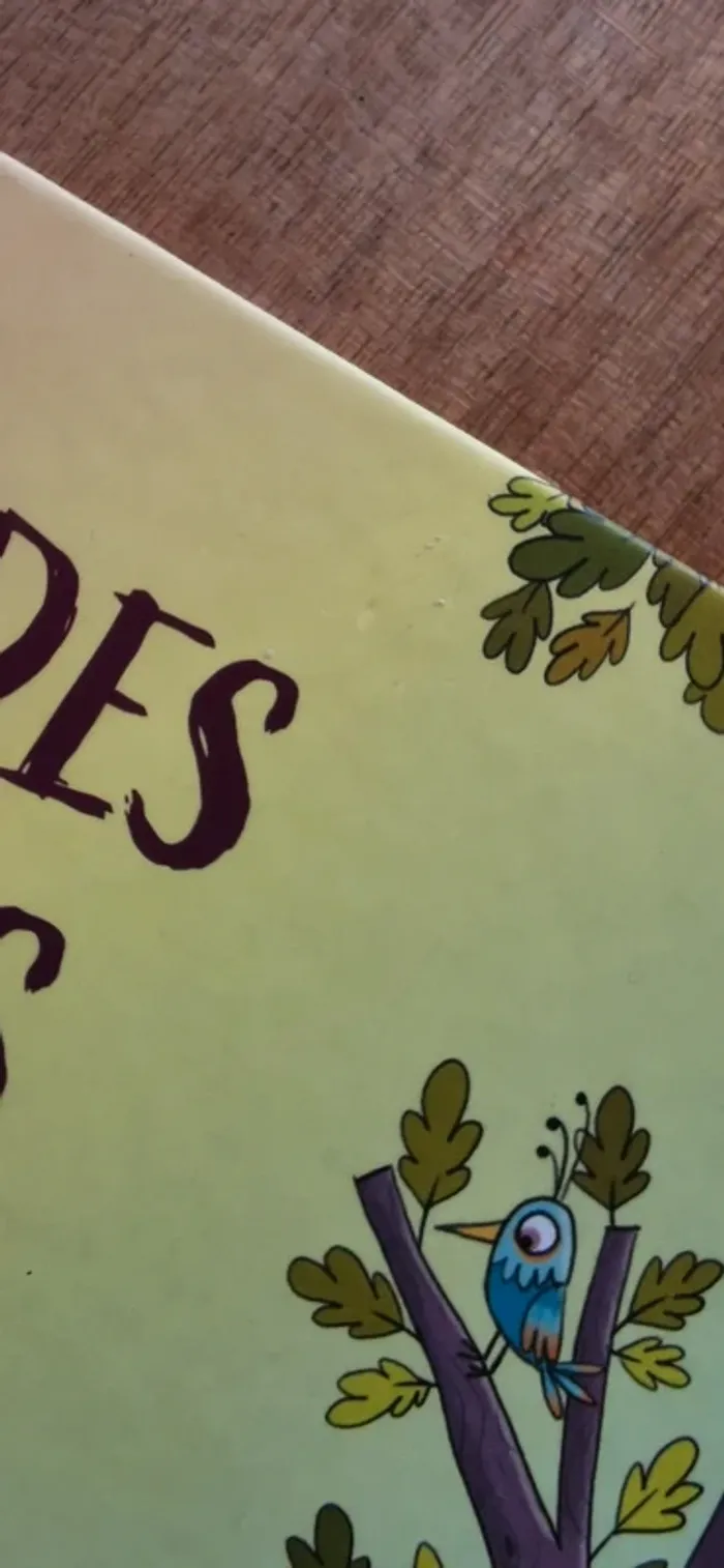 🌼📖Le jour des câlinous – Album jeunesse Circonflexe tendre & poétique 🐻 - photo numéro 5