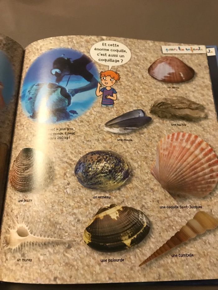 Livre La mer - photo numéro 4