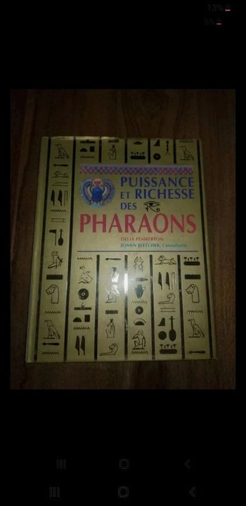 Livre Puissance et richesse des pharaons délia Pemberton joann fletcher