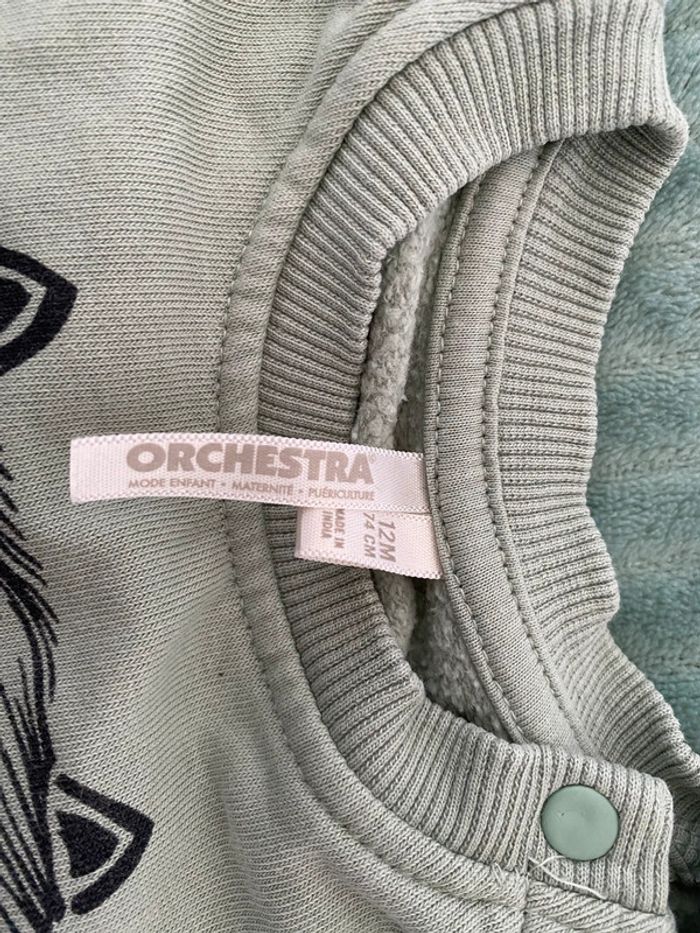 Lot sweat bébé 12 mois - photo numéro 16