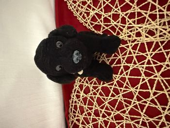 Peluche labrador noir chien LASCAR bandanas les chiens guides d'aveugles