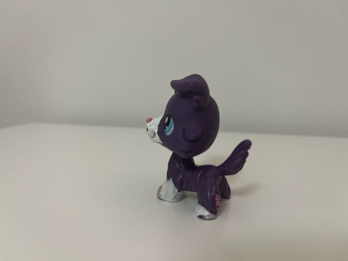 petshop - photo numéro 3