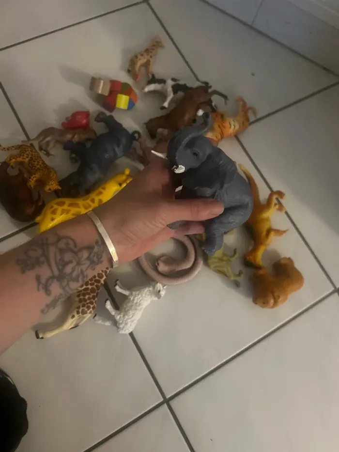 Lot d’animaux - photo numéro 5