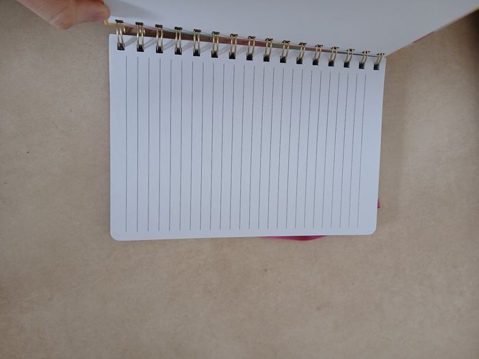 Cahier spirale - photo numéro 8