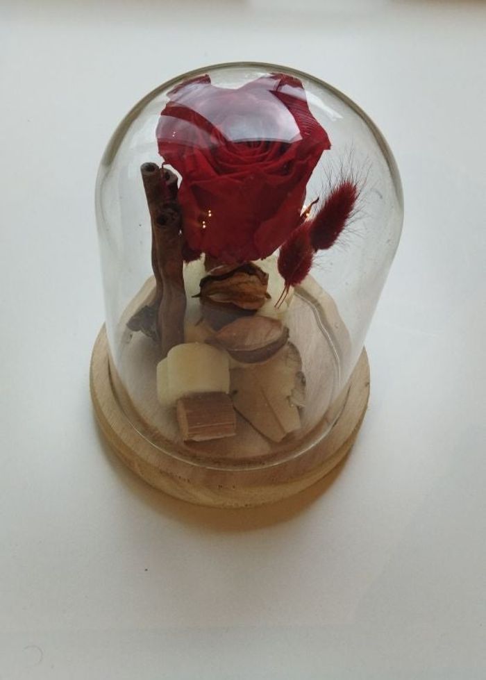 Rose sous cloche