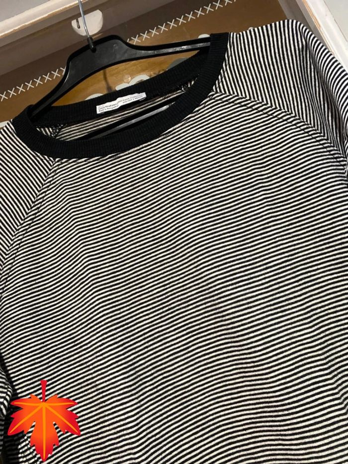 Petit pull - photo numéro 2