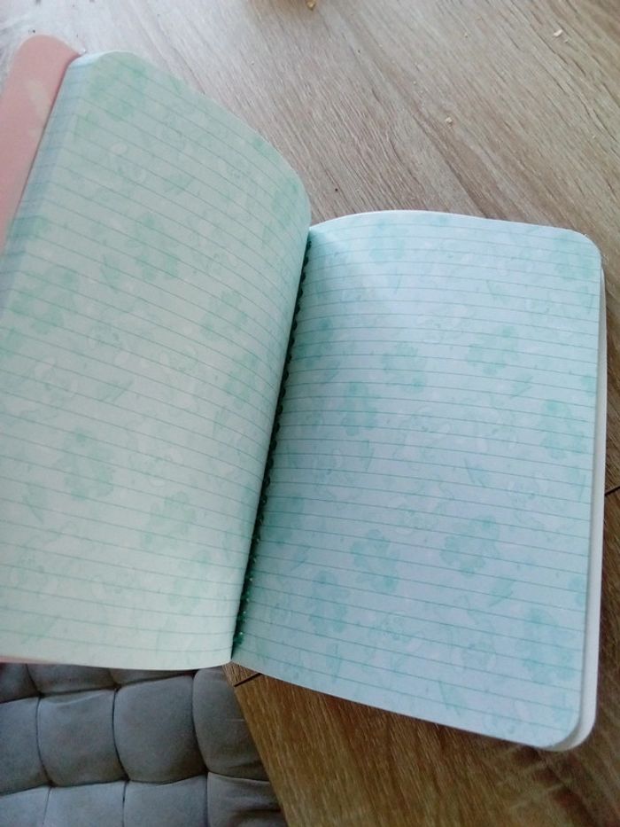 Cahier spirale stitch - photo numéro 4