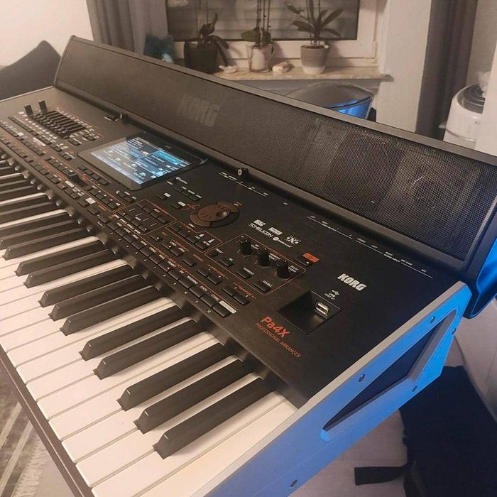Korg PA4X international 61 Tasten - photo numéro 2