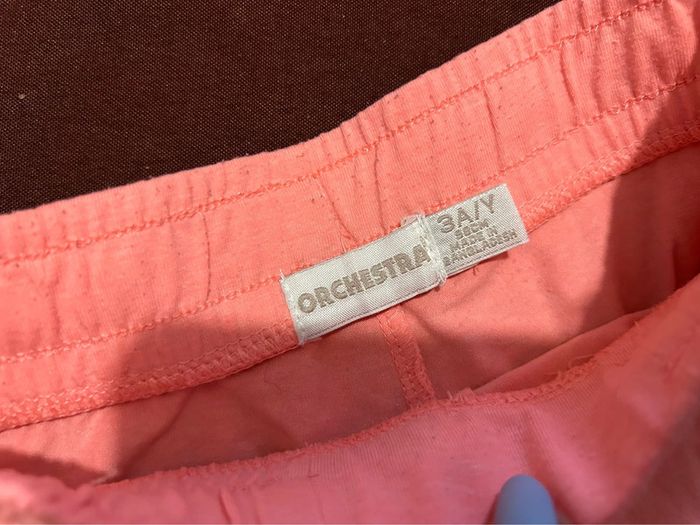 Short rose 2 - photo numéro 2