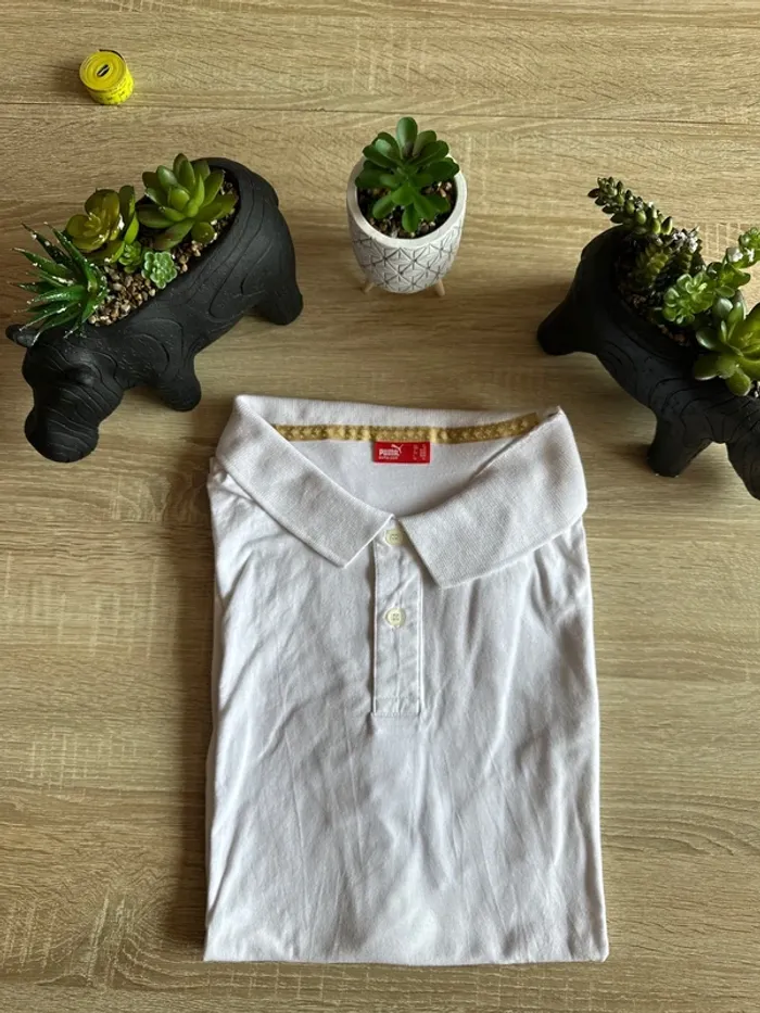 Polo puma