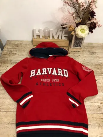 Sweat capuche Harvard university