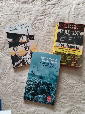 Lot livres (c)
