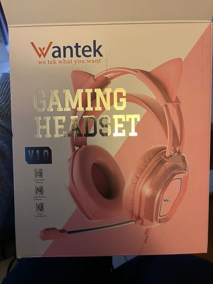 Casque pc oreille de chat - photo numéro 2