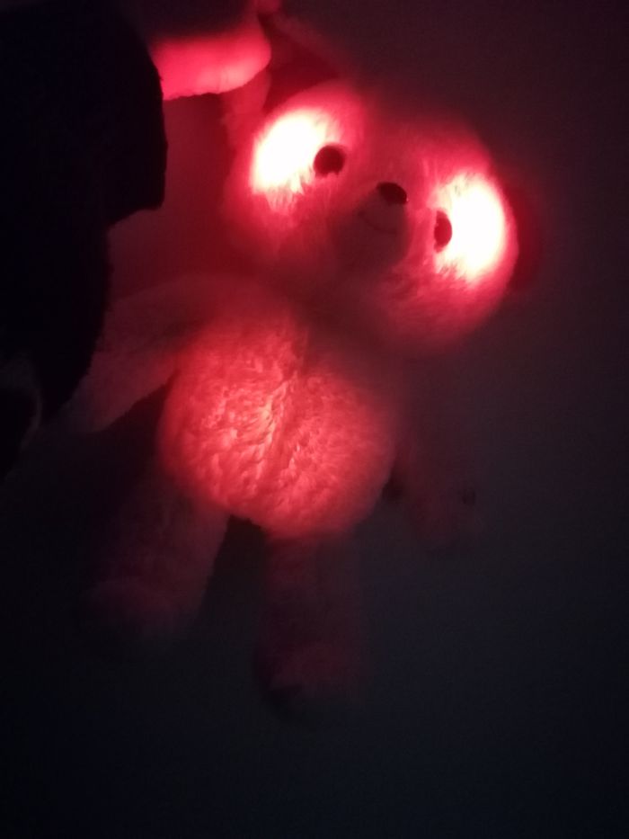 peluche ours lumineux - photo numéro 10