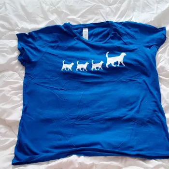 T-shirt chat