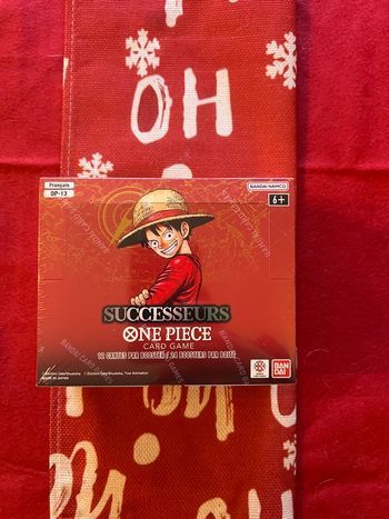 Display op13 successeurs one piece FR