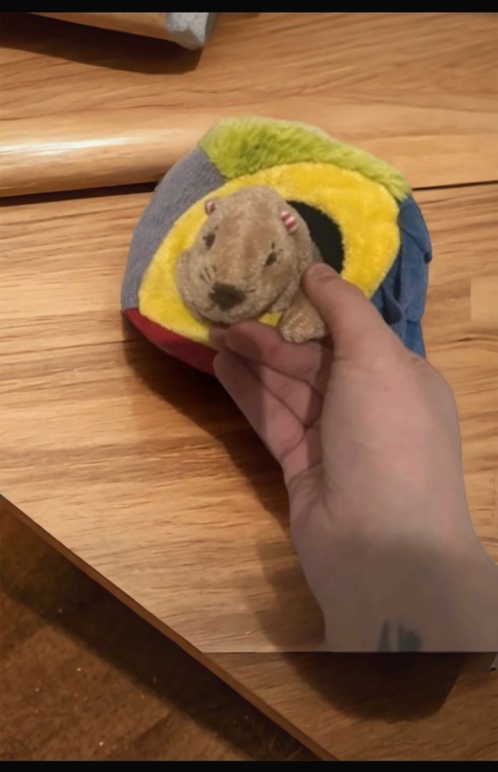 Peluche cube loutre 🦦 - photo numéro 2