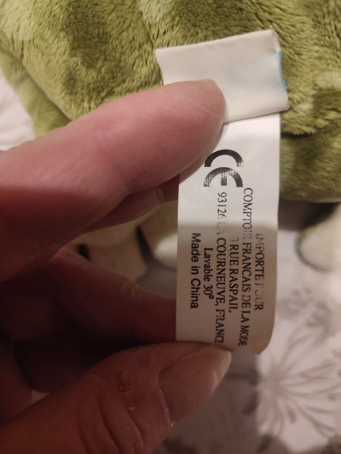 Grenouille - photo numéro 4