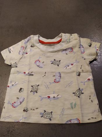 T-shirt manches courtes T62