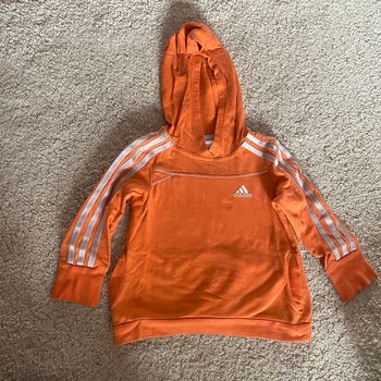 Pull / sweat a capuche