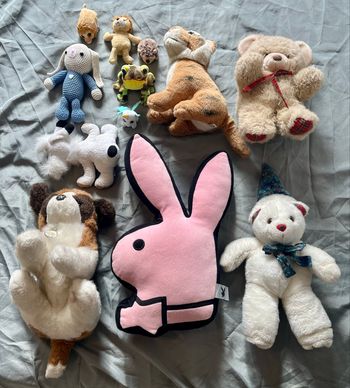 Lot de 12 peluches – Très bon état – propres – Marques incluses