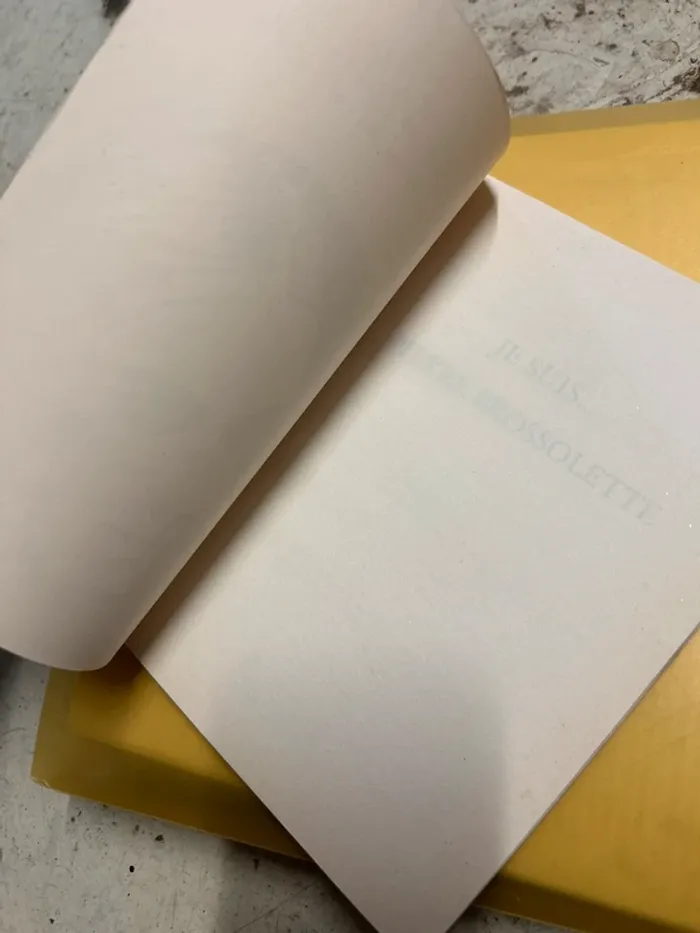 Je suis Pierre Brossolette - photo numéro 7