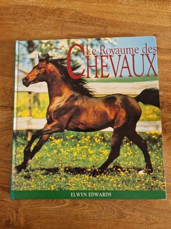 Le royaume des chevaux