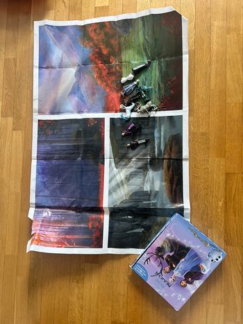 Livre avec personnages reine des neiges 