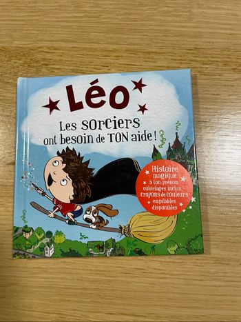 Livre « Léo les sorciers ont besoin de ton aide »