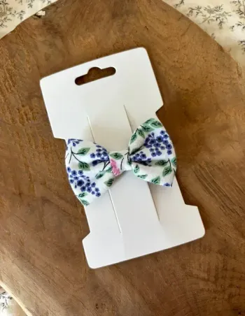 Barrette  cérémonie 2024