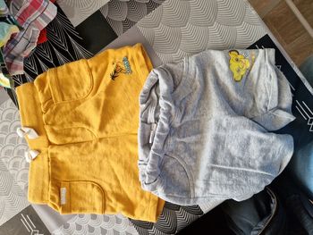 Short 24 mois