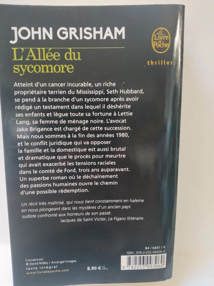 L'allée du Sycomore. - photo numéro 2