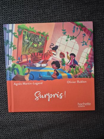 Livre enfant “Surpris !” – Agnès Martin & Olivier Rublon