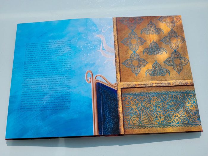 Très beau livre grand format Magiciennes du Monde (64) - photo numéro 10