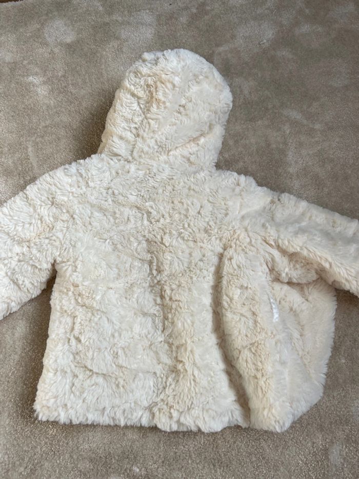 Manteau - photo numéro 5