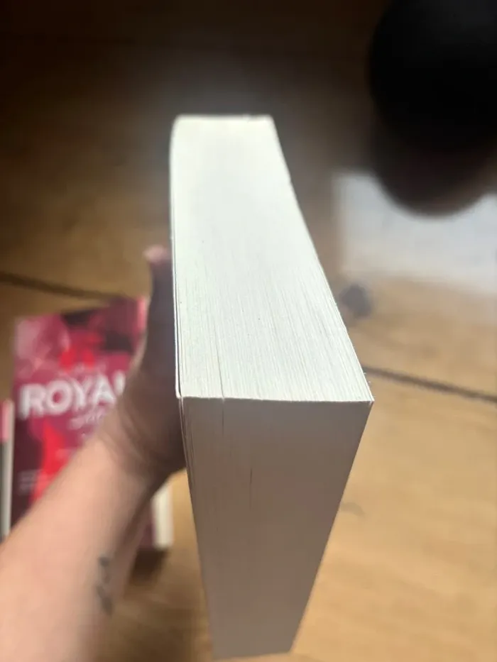 Royal saga - photo numéro 4