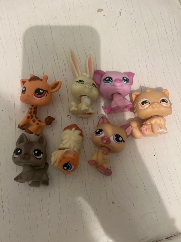 Lot de petshop (déjà réservé)